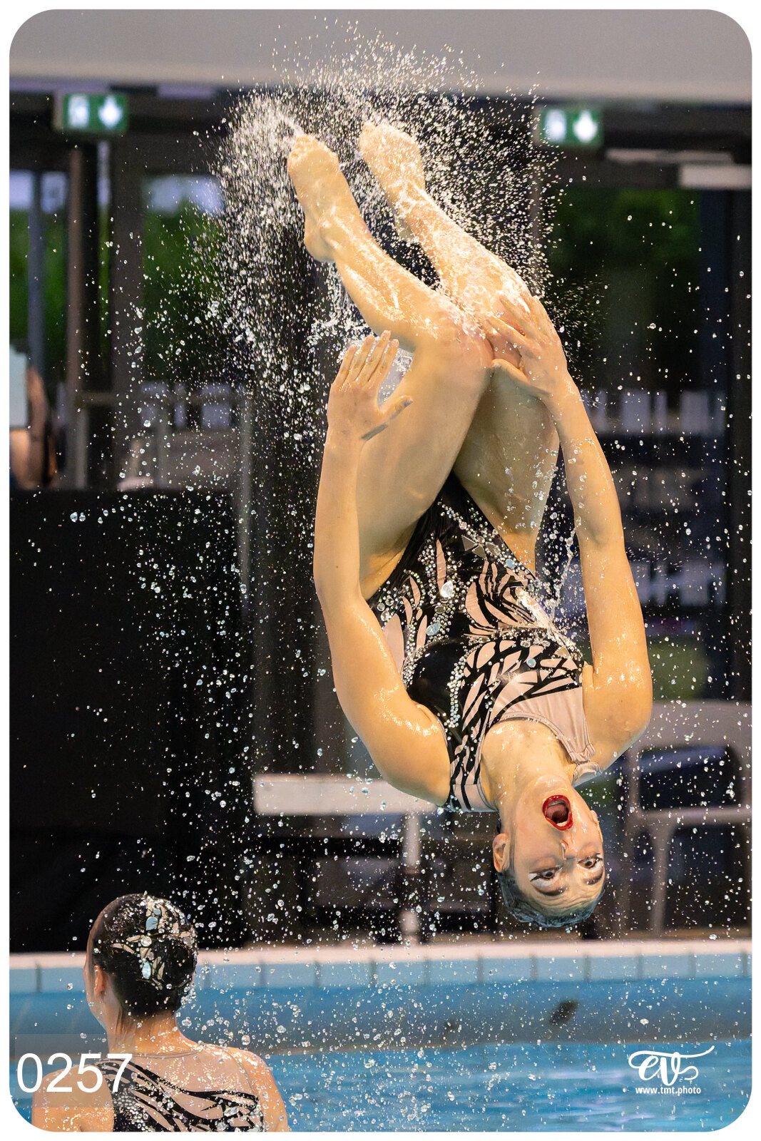 CHAMPIONNAT DE FRANCE DE NATATiON ARTISTIQUE N1 & ELITE 2026